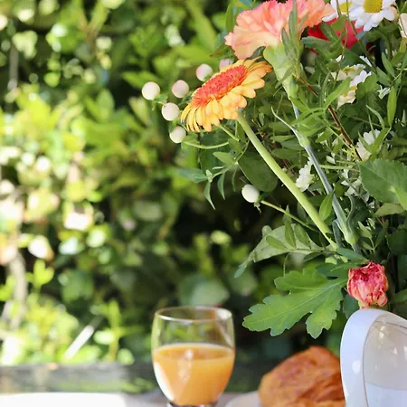 Sur 2 Niveaux Avec Terrasse A * Saint-Tropez